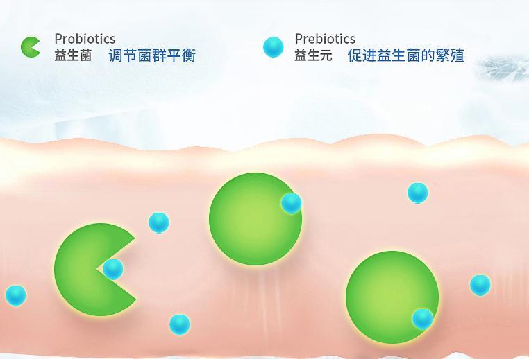 寵物吃什麼益生菌