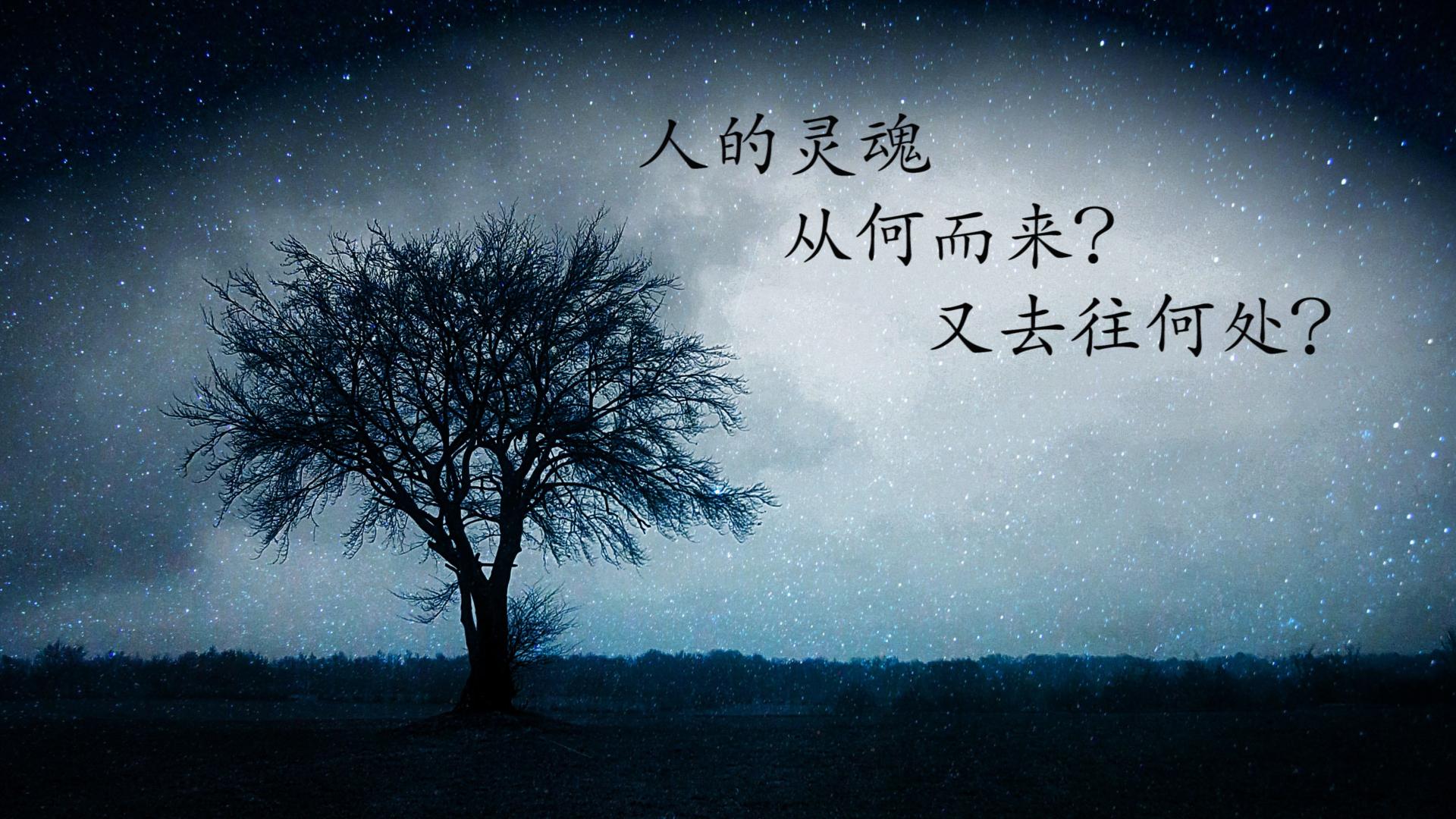 分享 67 收藏 67 喜欢 67 举报 梦 认识世界 超心理学 灵魂困境