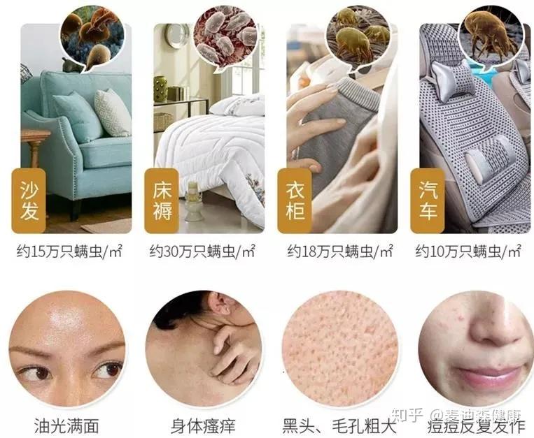 3,螨虫对我们有哪些危害?