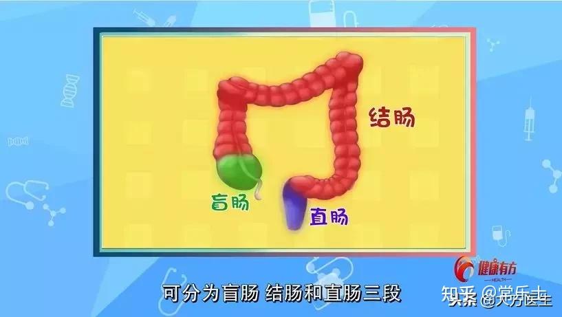 大肠癌的发病率从高到低依次为直肠,乙状结肠,盲肠,升结肠,降结肠及