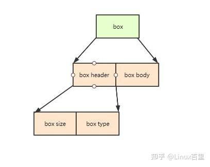 mp4封装格式各box类型讲解及IBP帧计算 - 知乎