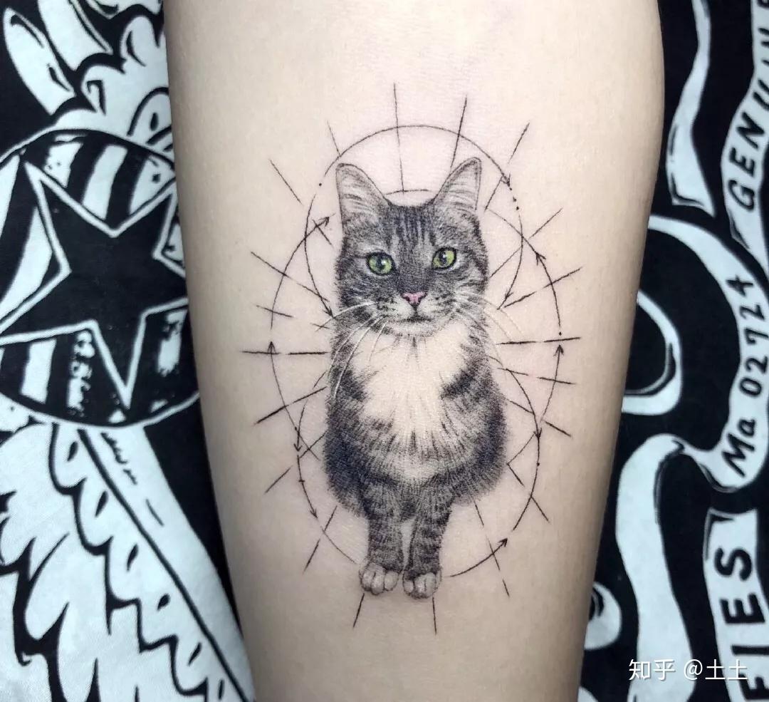 猫咪纹身_女生纹身_上海由龙刺青
