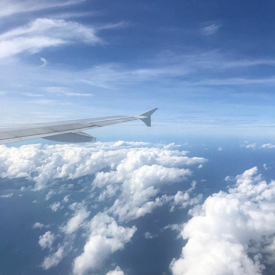 2018清美考研 人生在勤,不索何获