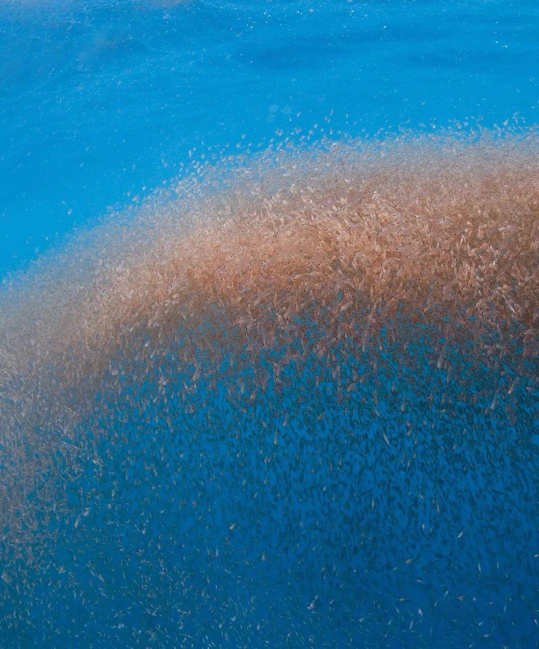 南极从哪里来? - 知乎