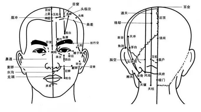 头部详细部位图 位置图片