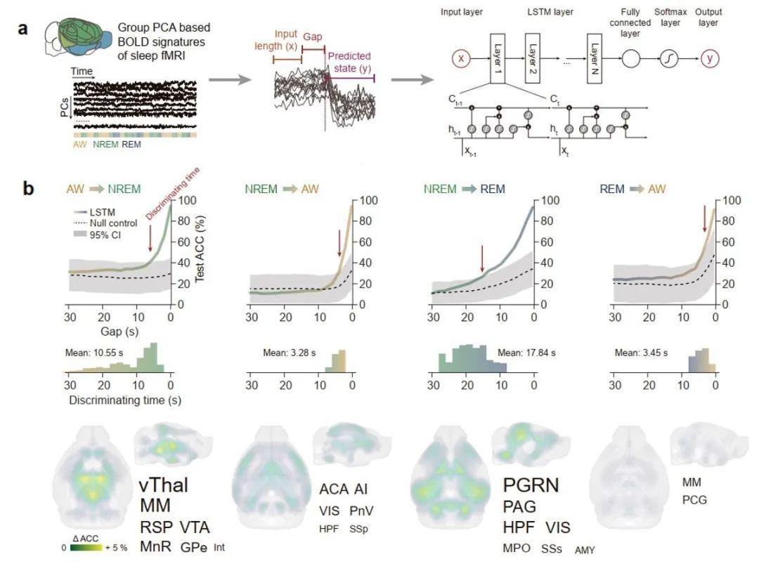Nature子刊:梁智锋组建立了同时电生理记录的小鼠睡眠fMRI的方法 - 知乎