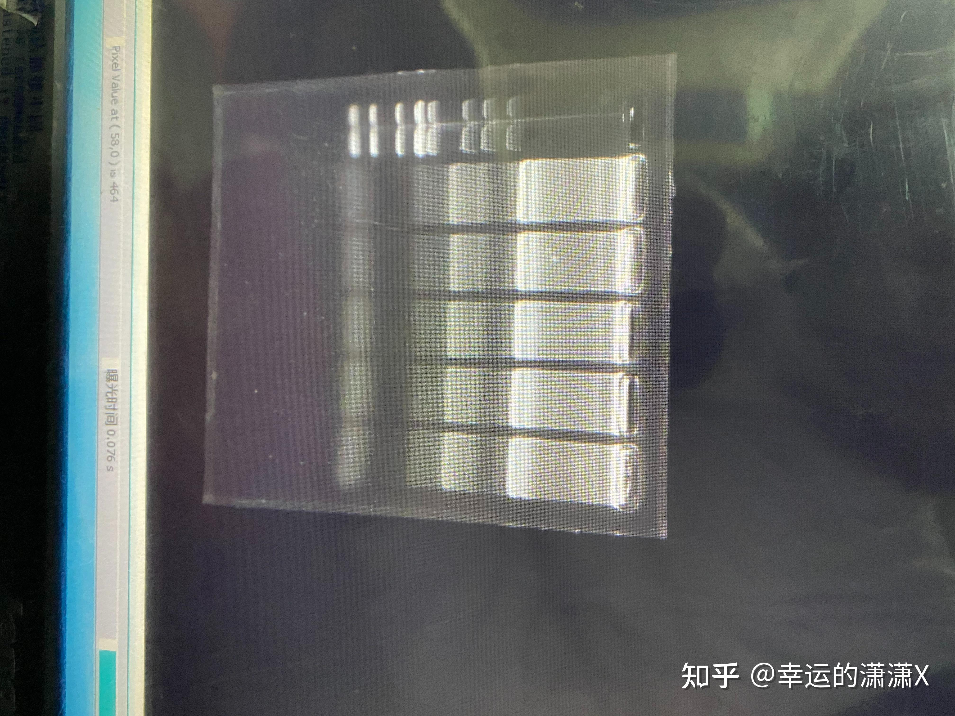 凝胶电泳PCR条带,弥散是什么情况,引物用之间NCBI blast过 - 知乎