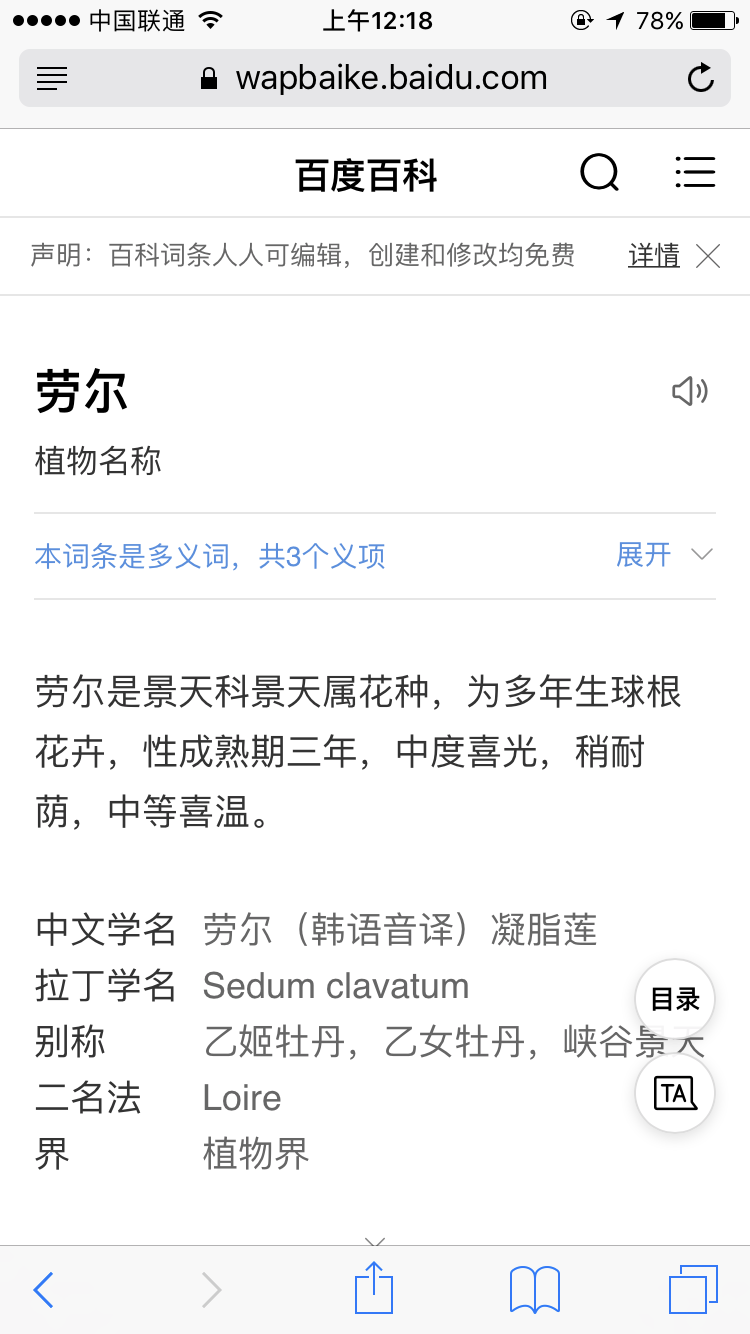 爱丽和劳尔是有什么不同吗?