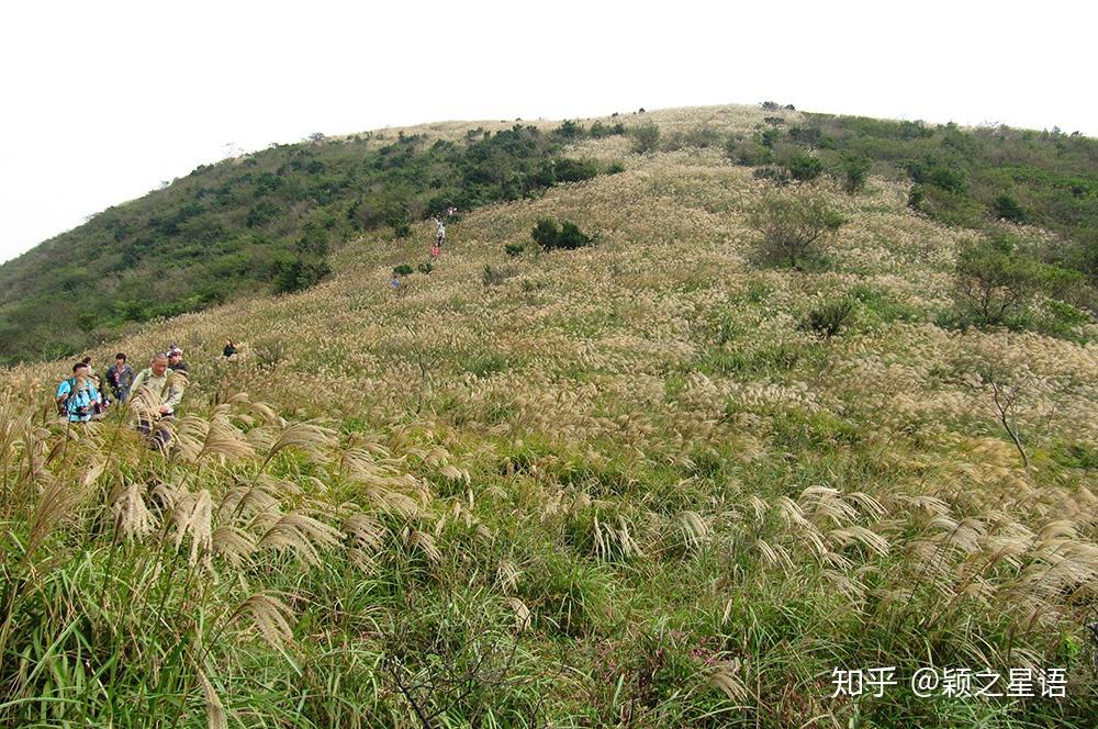 歐陽修的《減字木蘭花61傷懷離抱》,無限情思在其中,可以輕吟淺唱.