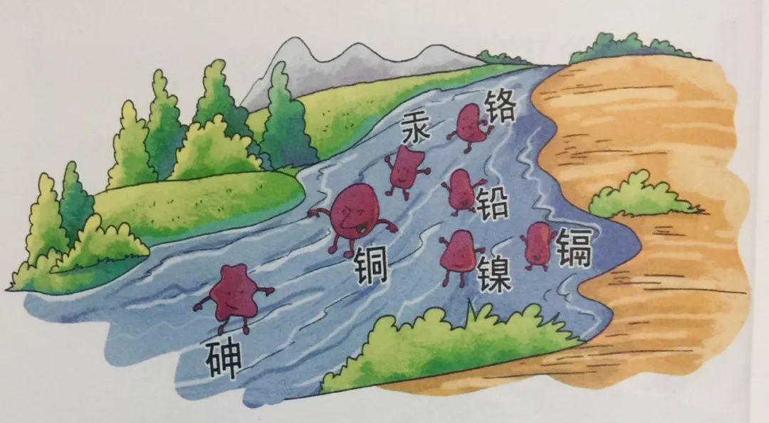 水体中的重金属污染物主要有汞,镉,铬,铅,镍以及类金属砷等及其化合物