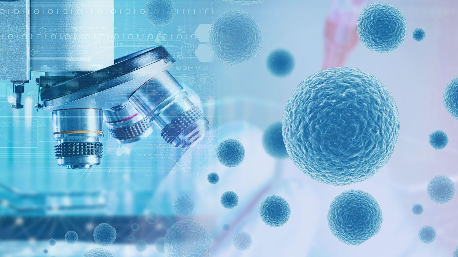 中科西部研究院10个问答全面读懂干细胞