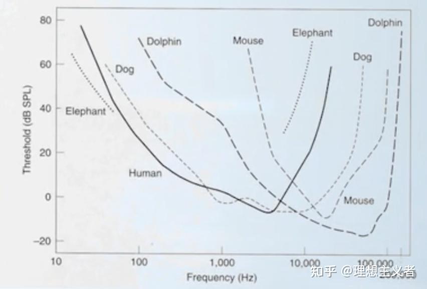 语音信号处理(二)： 发声生理、听觉生理与听觉心理 - 知乎