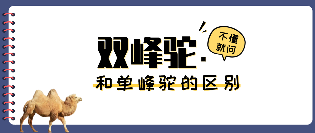 单峰驼和双峰驼的区别 知乎