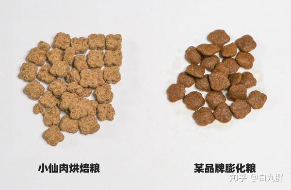 猫粮排行榜和价格（谁是猫粮性价比之王）