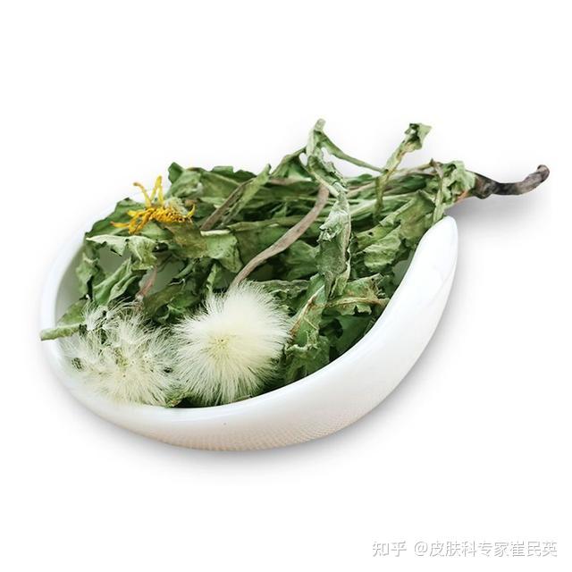 漫山遍野的蒲公英作为中草药对于皮肤病能起到什么作用
