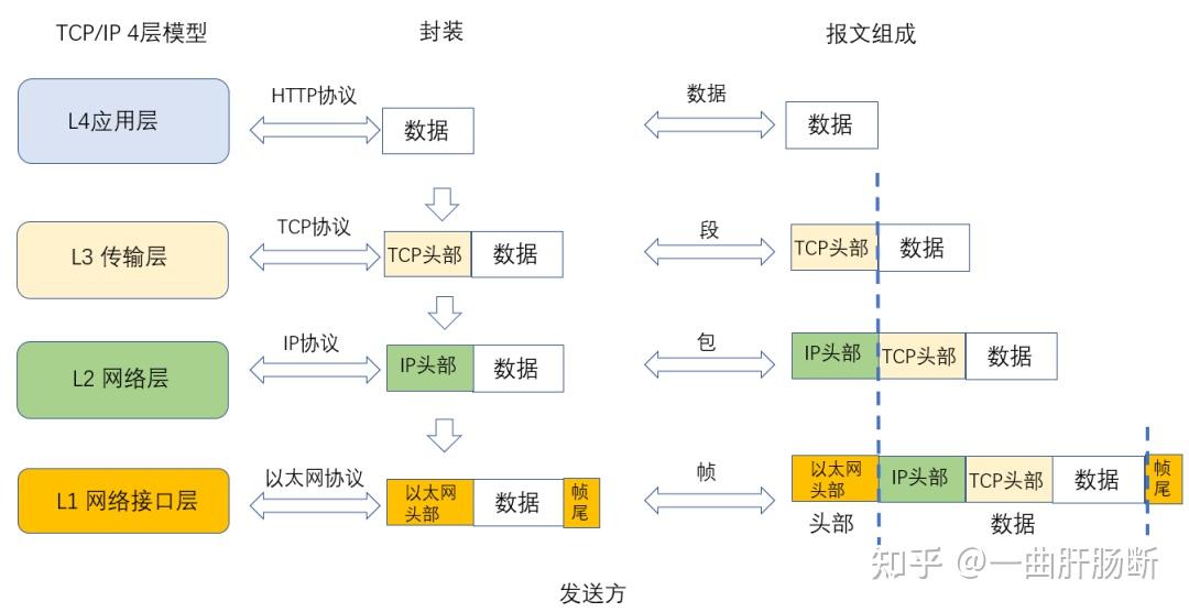 28 张图详解网络基础知识：OSI、TCP/IP 参考模型（含动态图） - 知乎