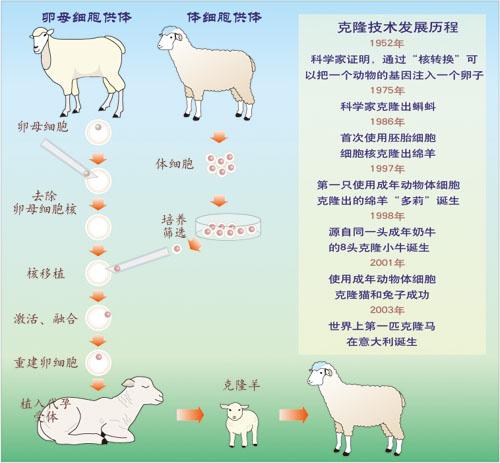 克隆一模一样的自己按现在的技术来讲可能实现吗?