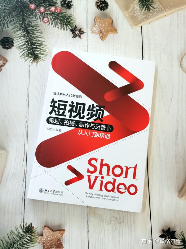 短视频制作运营创业方向 一年还清50万债务的可行性报告:小说推文(短视频CPS)创业方案