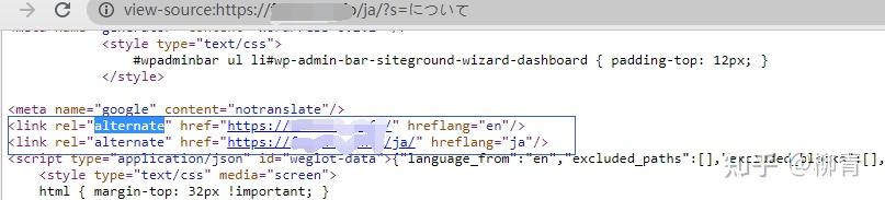 如何快速搭建全球多语言网站，Weglot多语言系统试用笔记