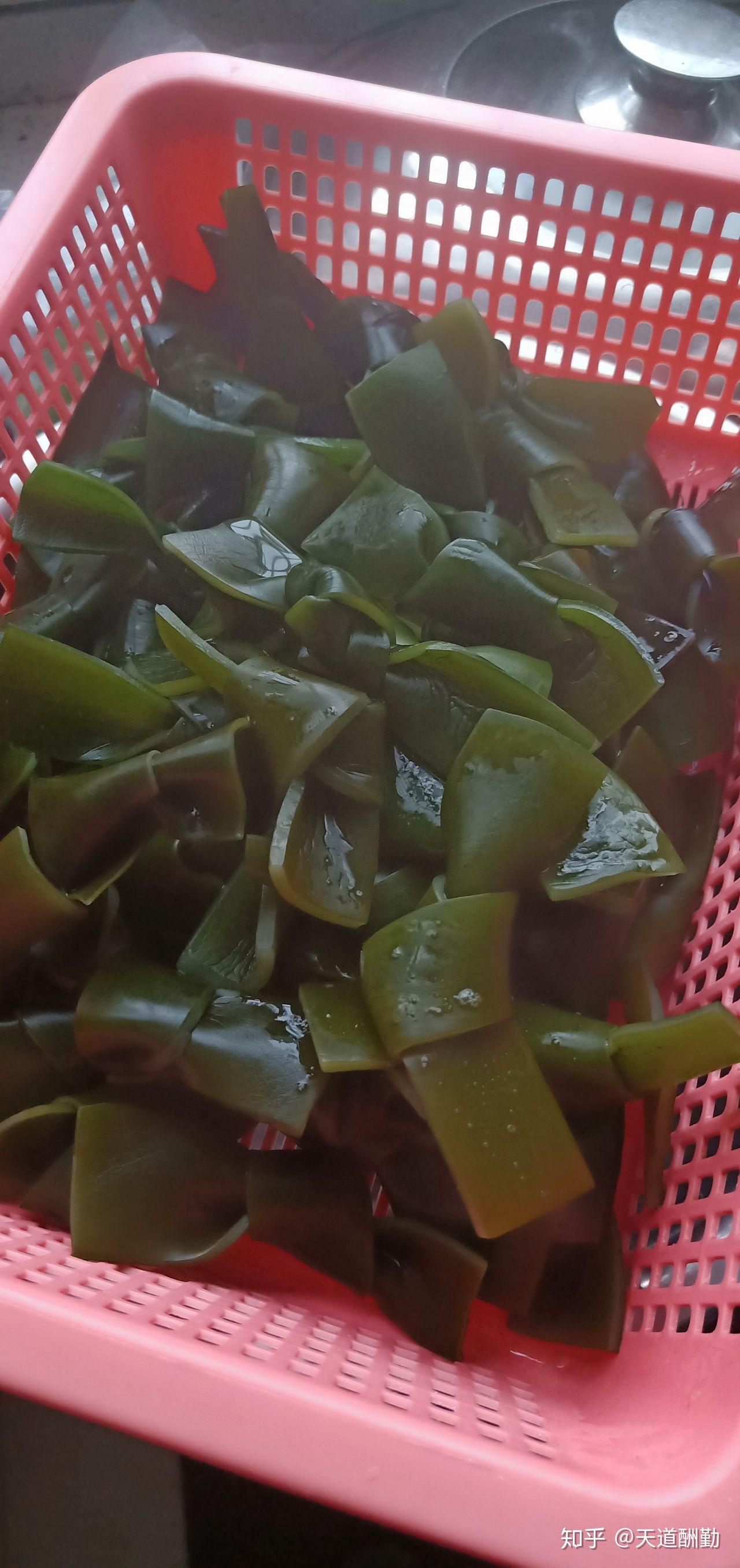 做个泡海带高手来给我指点指点