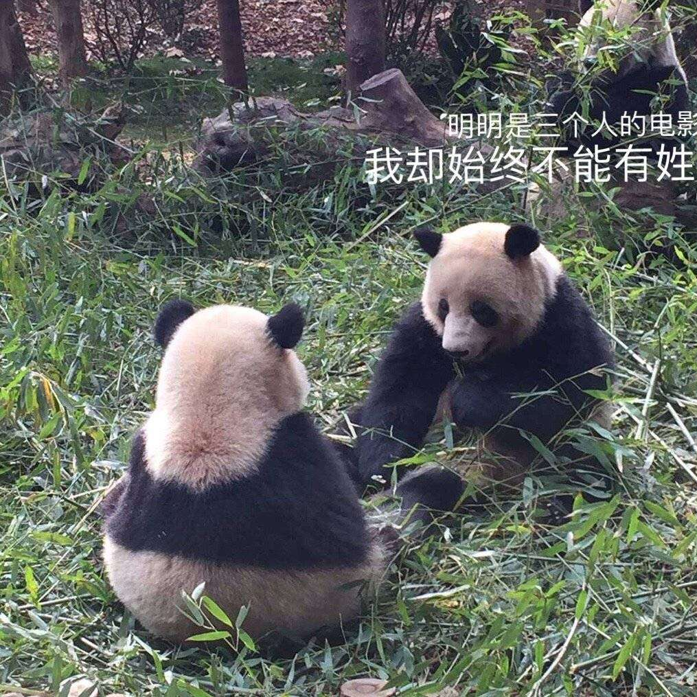 你瞅啥