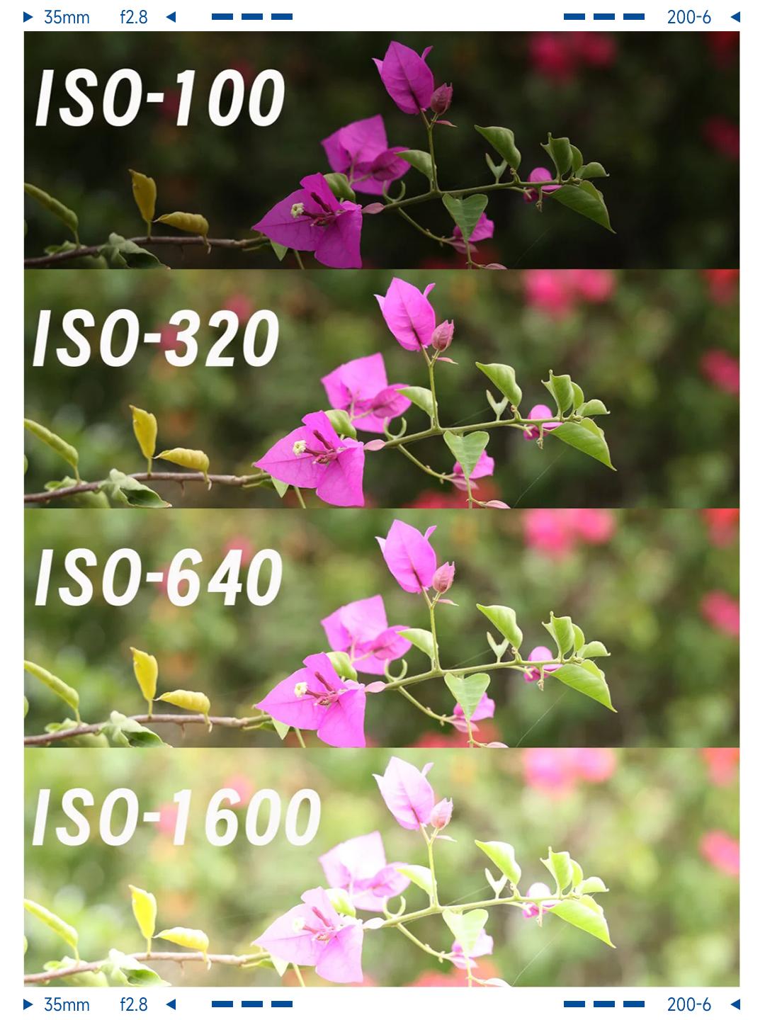 为什么你的照片总是差点意思？| 「光圈/快门/ISO」破译指南 - 知乎