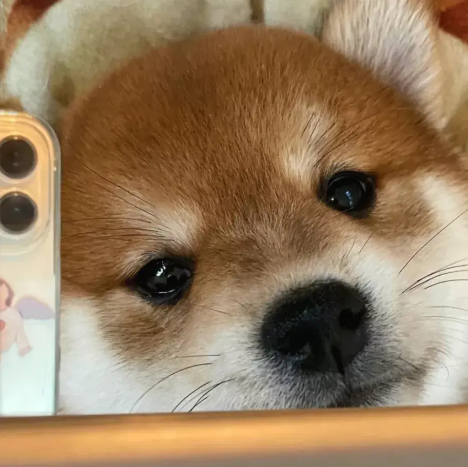 一些超级特别又好看的情侣头像,共190张-最好看的情侣头像动漫一人一半