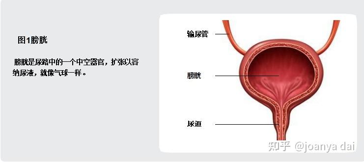 谈癌色变之