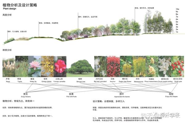 2021毕设配套素材10丨植物分析psd大汇总 - 知乎