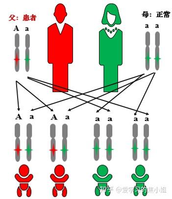 焦老师讲遗传系列之7:基因突变与遗传 - 知乎