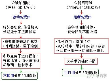 琥珀胆碱 去极化图片