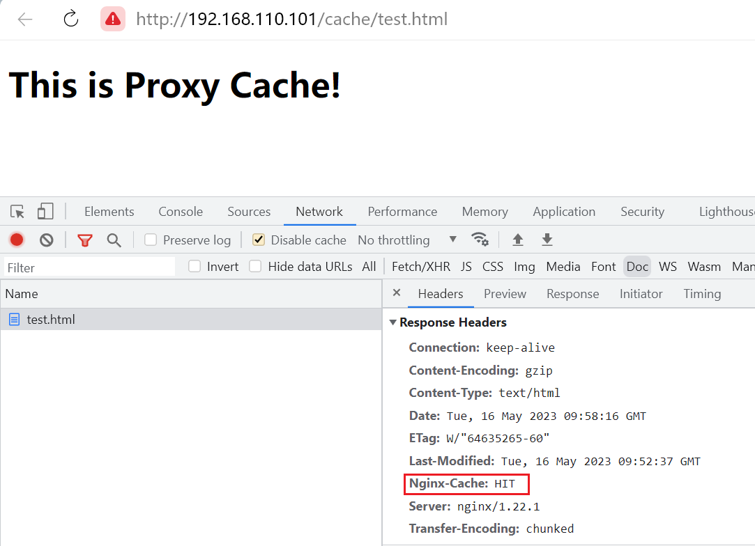 Nginx 