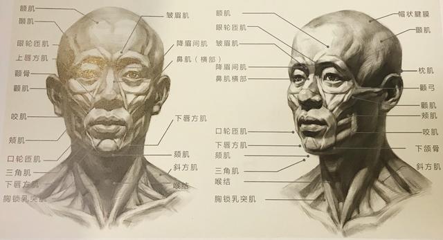 美术生想学好素描这三点很关键