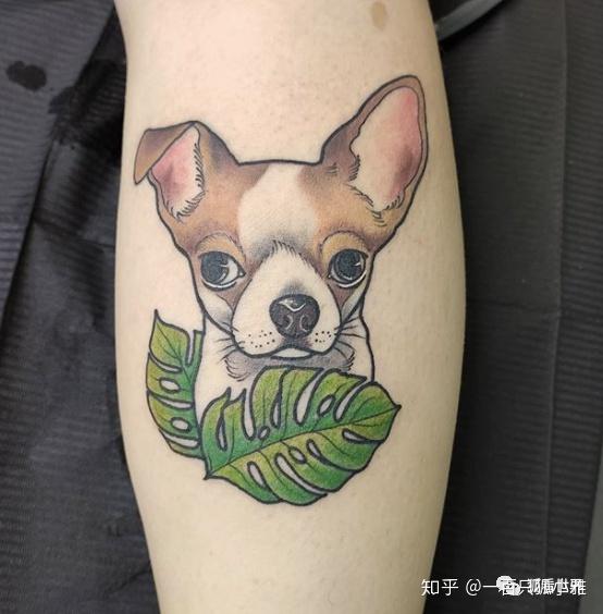 想纹二龙戏珠结果成了皮皮虾玩弹球测评80400875美元的纹身差别