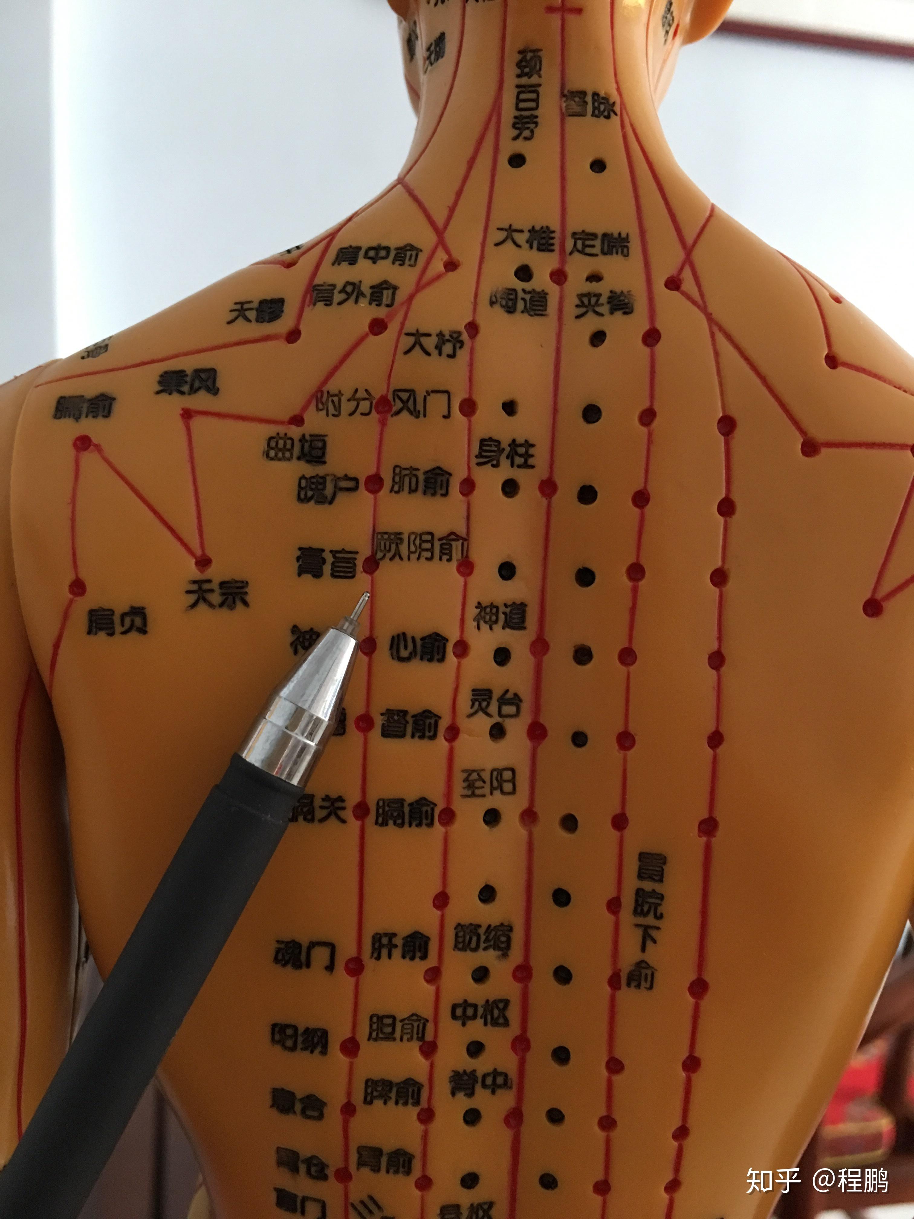 关注我,每天带你学习中医养生95  艾灸病症调理~肺结核