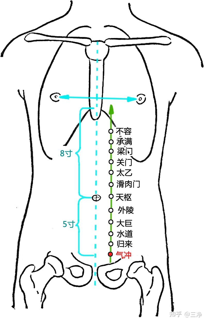女性冲脉的准确位置图图片
