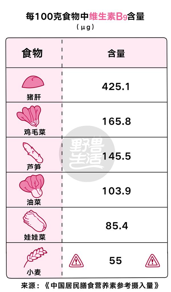 8 种维生素b 吃1 样食物就补全 维生素专栏 知乎