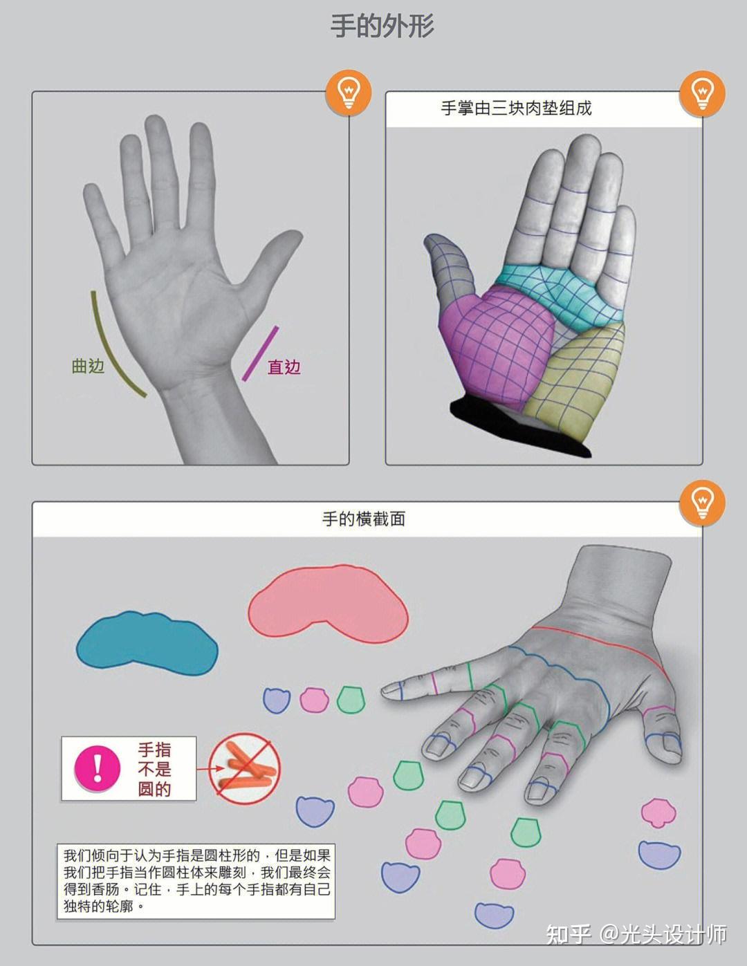 手部建模如何布线?1分钟快速理解手部结构 - 知乎