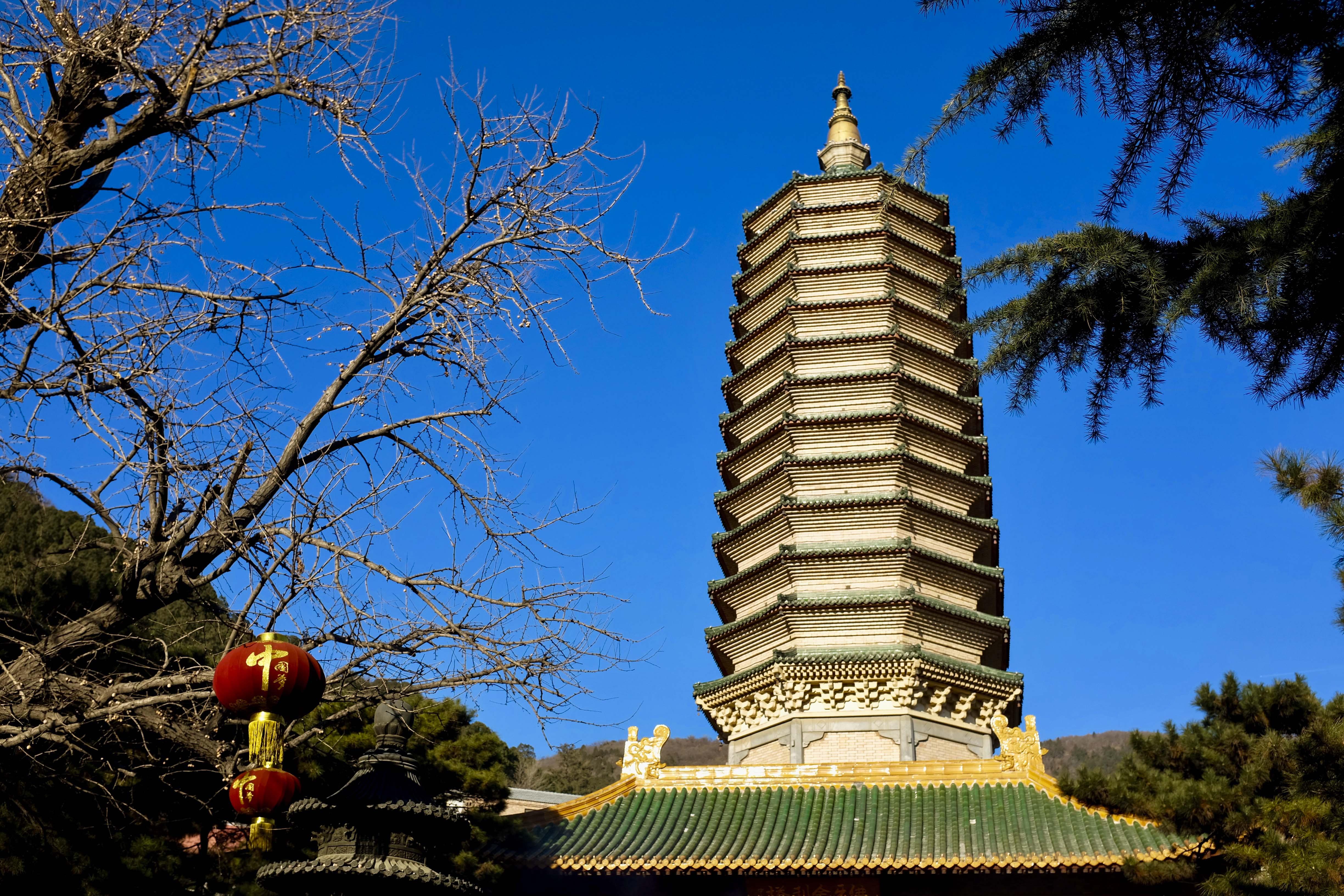 2020八大处公园-旅游攻略-门票-地址-问答-游记点评，北京旅游旅游景点推荐-去哪儿攻略
