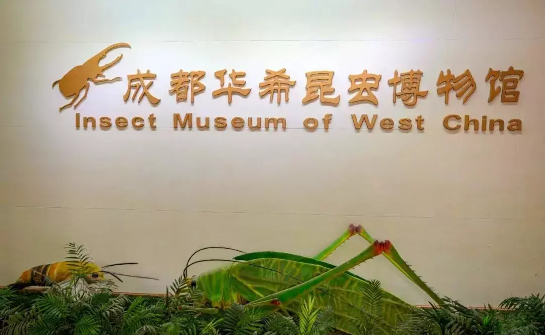 沃分享吉尼斯世界纪录上榜博物馆