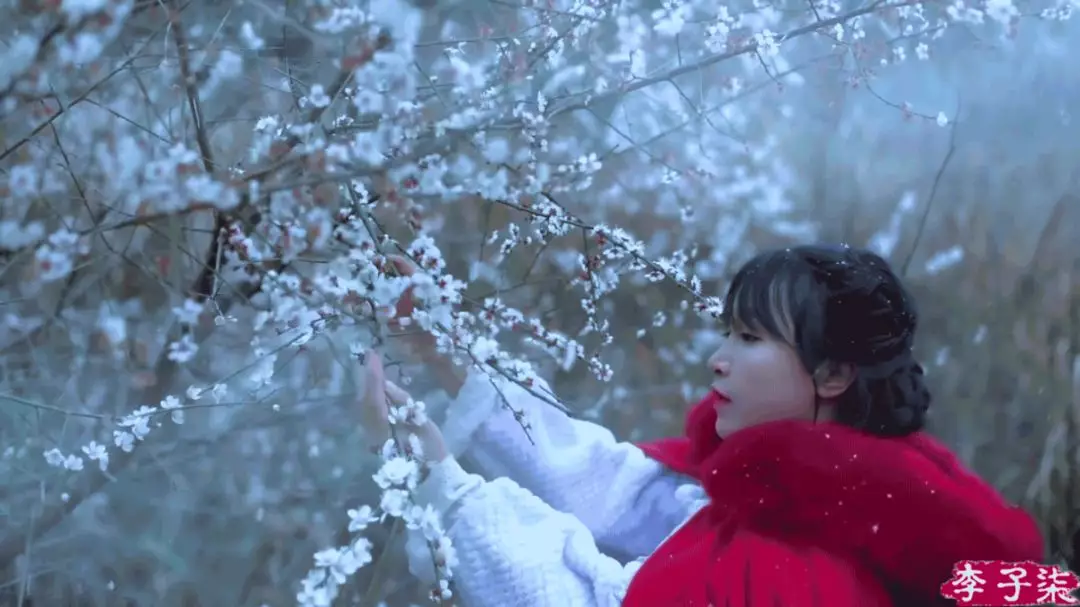 数据科学外国人眼里的李子柒难道不一样