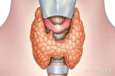 首大張洋甲狀腺囊腫囊性結節要怎麼治