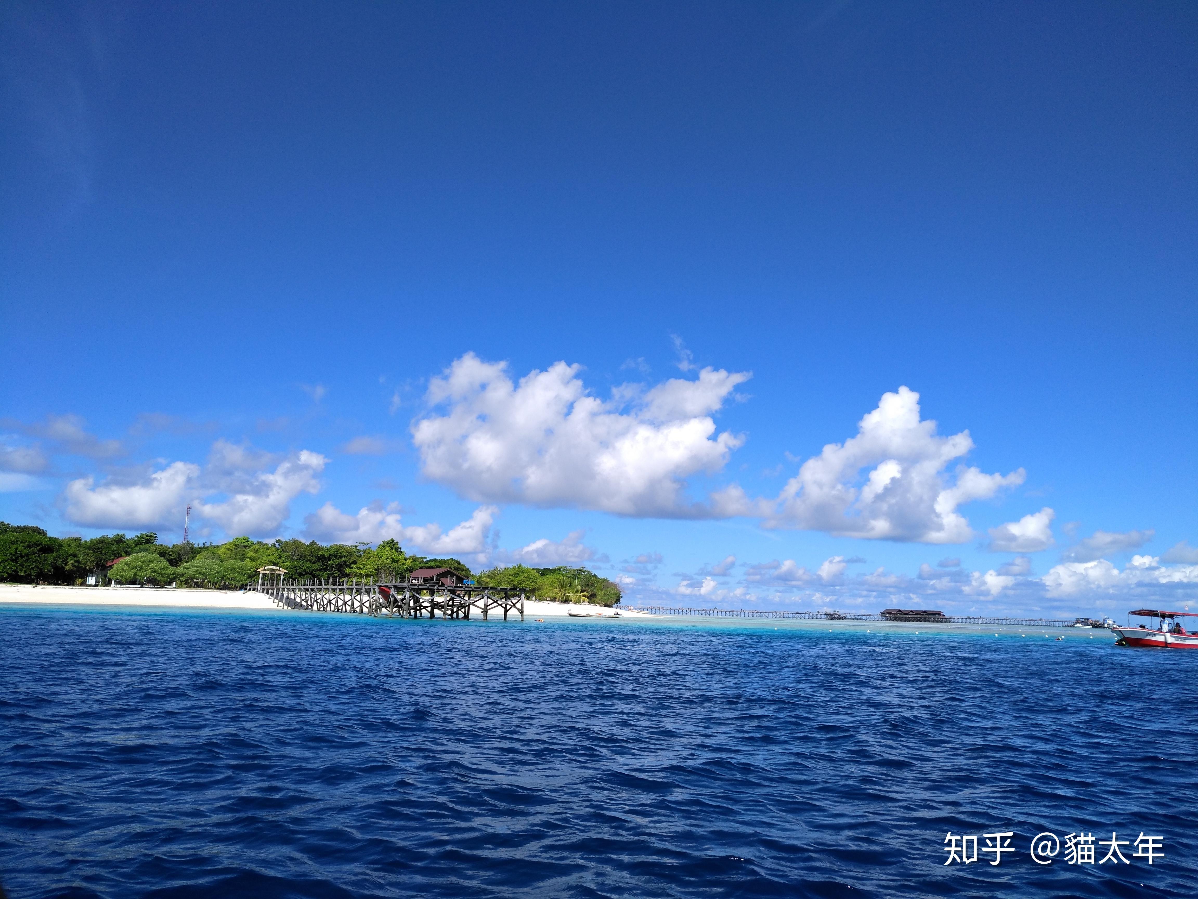 啥时候开海 v2-5a2dfc46e78eeaa43537cf4721416176_r.jpg