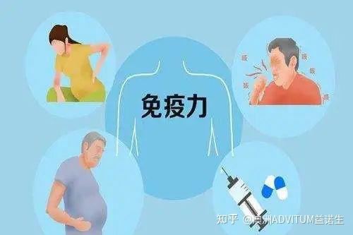 群众吃瓜网友科普：深入了解什么是免疫功能紊乱