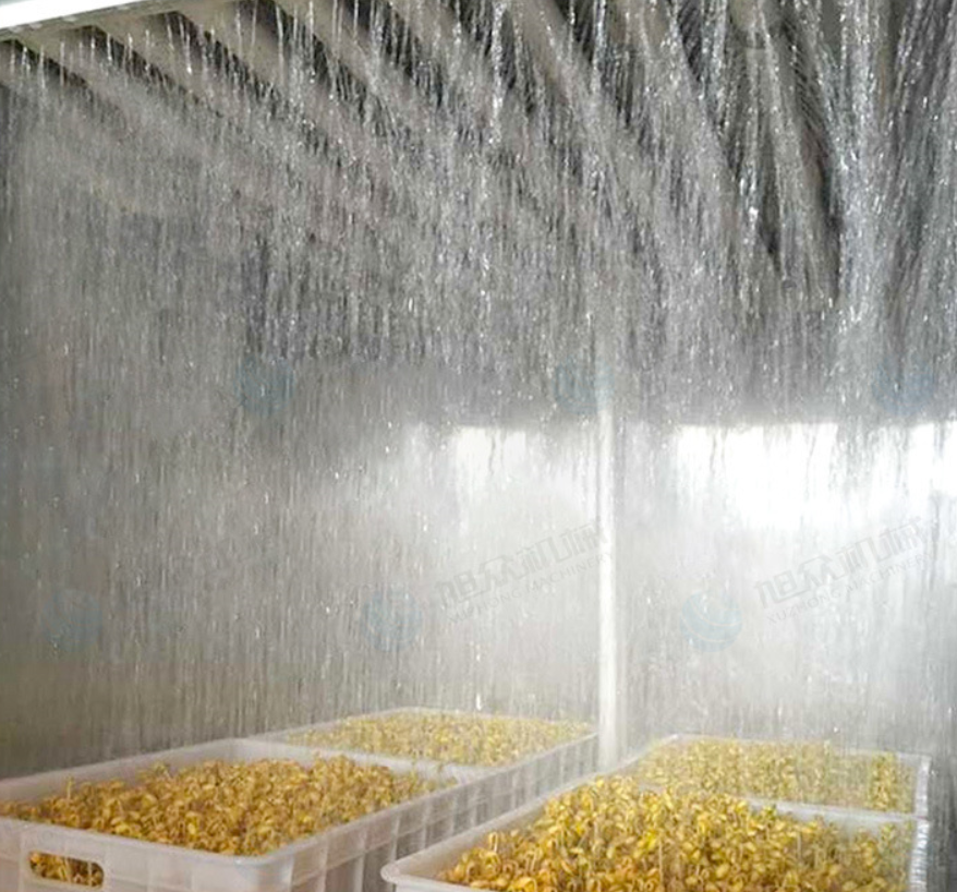 3万投资豆芽厂,多久能回本,一年能赚20万? - 知乎