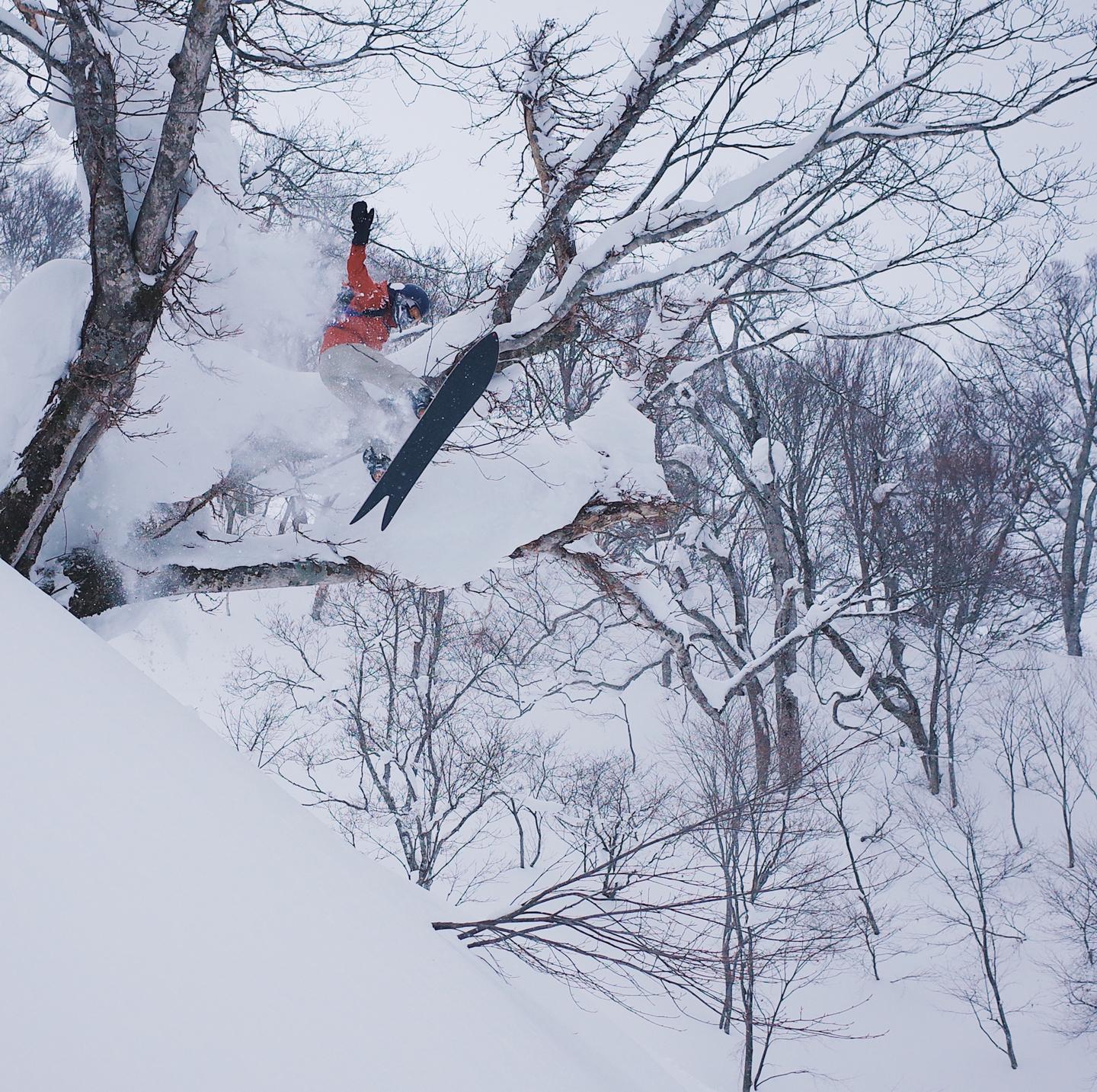 野雪新手的安全课堂 什么是 滑野雪 知乎 野雪新手的安全课堂 什么是 滑野雪 知乎