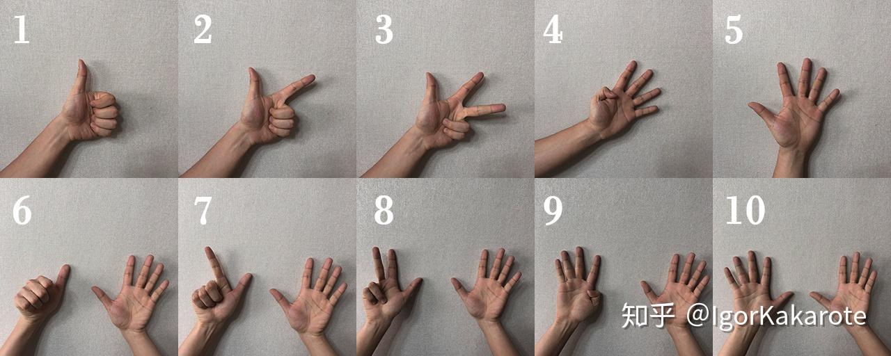 用一只手数数最多能数多少?