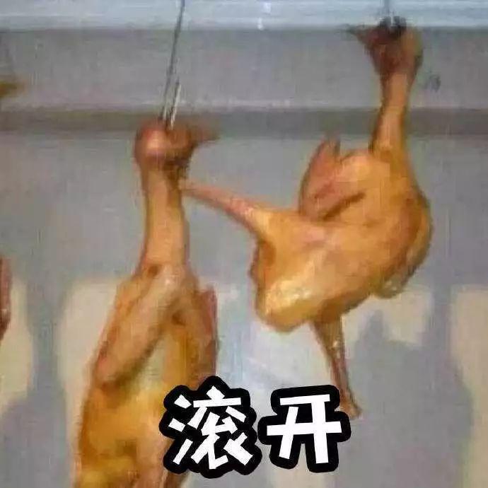 骚鸡表情包 - 知乎
