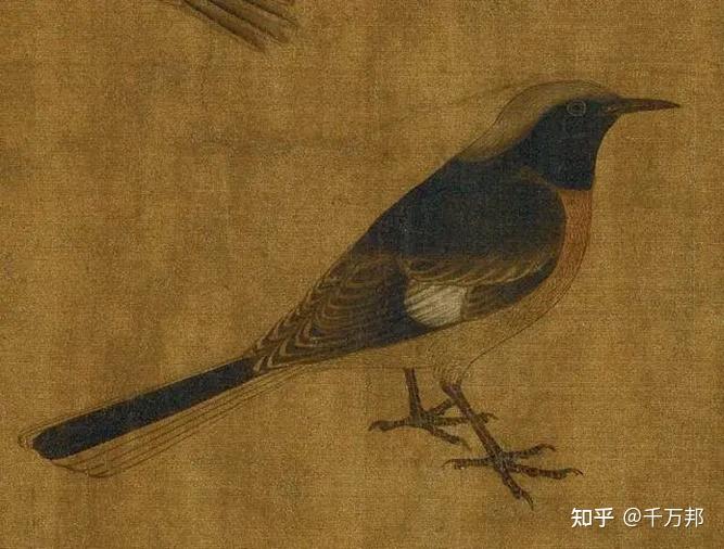 中国工笔画鼻祖 黄筌|作品赏析 - 知乎