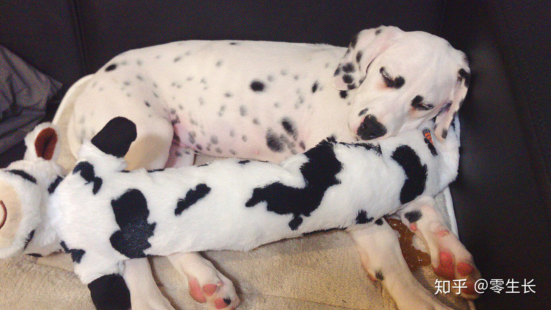 现在可以种大麦吗 v2-5a8425405c2a1416fe7e8553620b865a_r.jpg